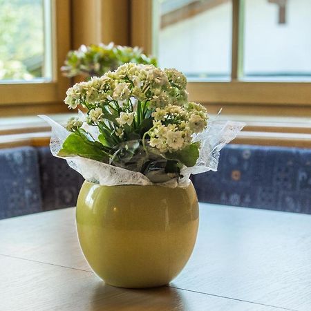Apartment Dolomites Nest San Martino in Badia Zewnętrze zdjęcie